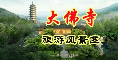我要看鸡巴干逼中国浙江-新昌大佛寺旅游风景区